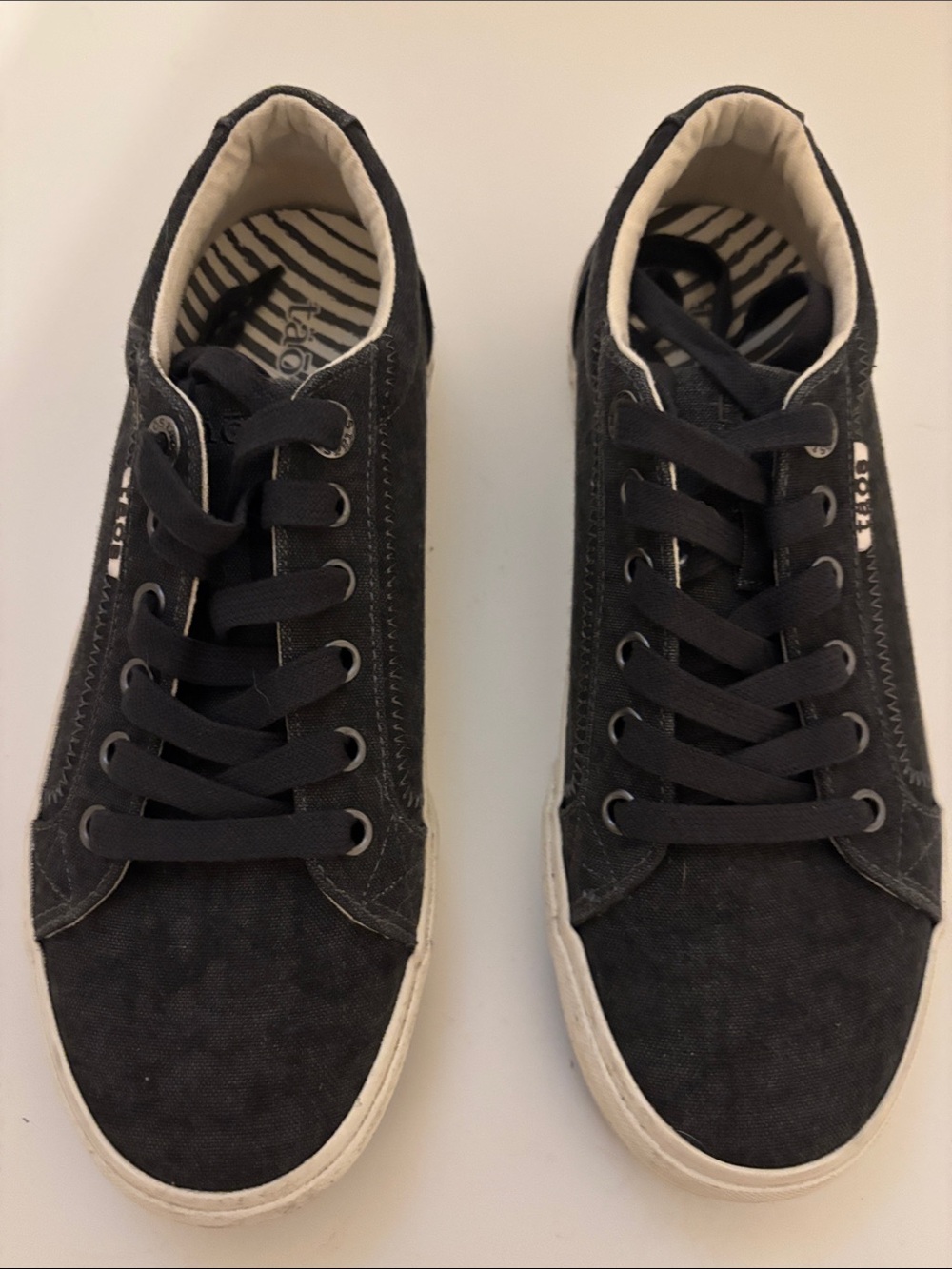 Taos Footwear charcoal gray Low-Top Women's Canvas Sneakers